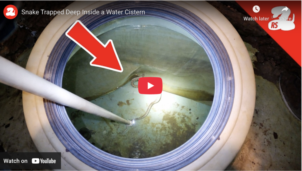 How Do You Get a Snake Out of THIS?